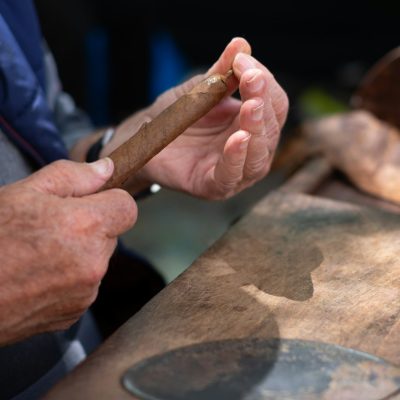 Close up of hands making cigars. Process of making traditional cigars from tobacco leaves